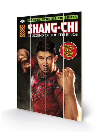 Dřevěný obraz Shang Chi and the Legends of the Ten Rings - Battle Ready, 40 × 59 cm