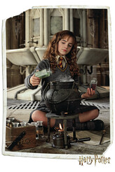 Plakát, Obraz - Harry Potter - Hermione Granger, 80 × 120 cm