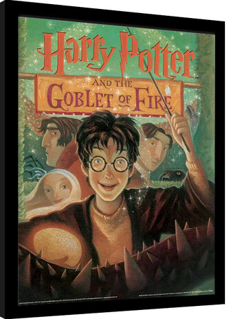 Obraz na zeď - Harry Potter - Ohnivý Pohár, 34.3 × 44.5 cm