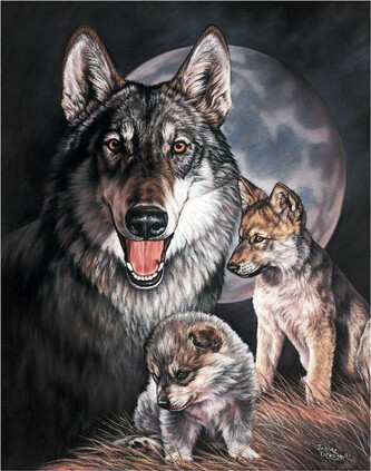 Plechová cedule GRAHAM - Wolf Experience, 31.5 × 40 cm
