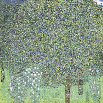 Obrazová reprodukce Roses under the Trees (1905), Gustav Klimt, 40 × 40 cm