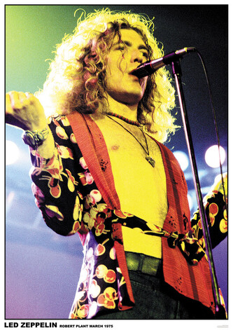 Plakát, Obraz - Led Zppelin - Robert Plant, 59.4 × 84.1 cm