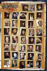 Plakát, Obraz - Harry Potter - Postavy, 61 × 91.5 cm