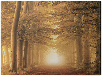 Obraz na plátně Lars Van De Goor - Autumn Feelings, 2 - 80×60 cm