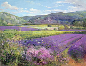 Obrazová reprodukce Lavender Fields in Old Provence, Timothy Easton, 40 × 30 cm