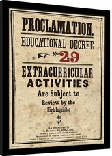 Obraz na zeď - Harry Potter - Educational Decree No. 29, 30 × 40 cm