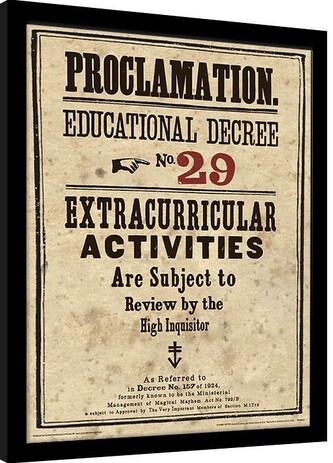Obraz na zeď - Harry Potter - Educational Decree No. 29, 30 × 40 cm