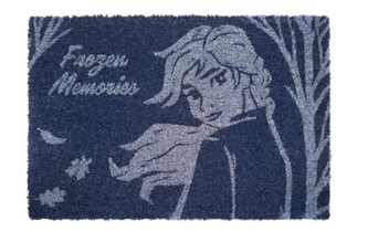 Rohožka Ledové království (Frozen) - Group, 60 x 40 cm