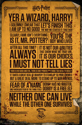 Plakát, Obraz - Harry Potter - Quotes, 61 × 91.5 cm