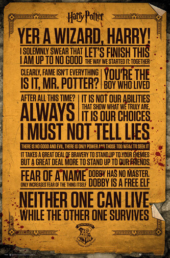 Plakát, Obraz - Harry Potter - Quotes, 61 × 91.5 cm
