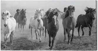 Obraz na plátně Carys Jones - Dusty Plains, 2 - 100×50 cm