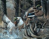 Plechová cedule DU - beaver pond, 41 × 32 cm