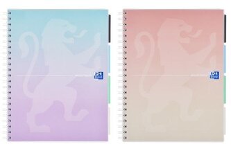 Kołozeszyt B5/80K kratka Projectbook (5szt) OXFORD