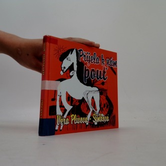 Přijela k nám pouť