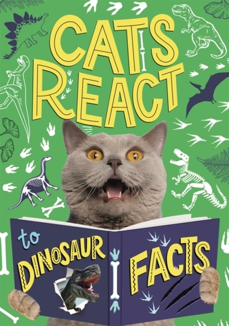 Cats React to Dinosaur Facts Cats React to Dinosaur Facts