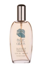 Elizabeth Arden Blue Grass Parfémovaná voda 100 ml pro ženy