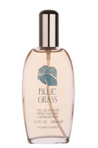 Elizabeth Arden Blue Grass Parfémovaná voda 100 ml pro ženy