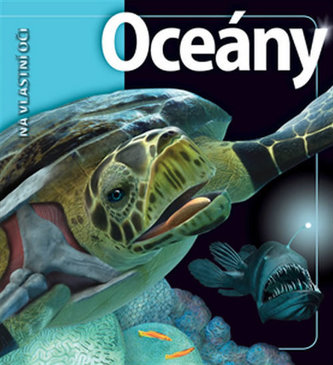 Oceány (Beverly McMillan, 2008)