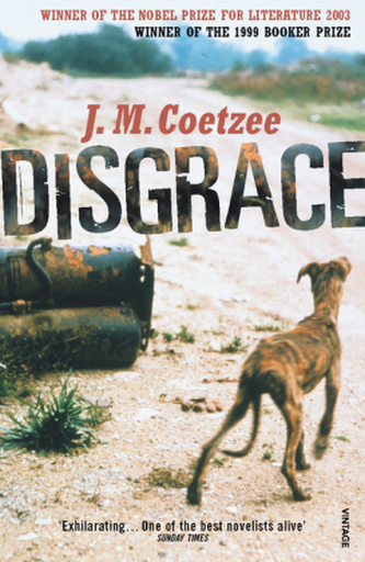 Disgrace. Schande, englische Ausgabe