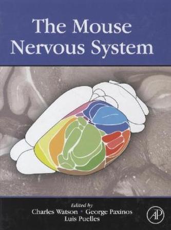 The Mouse Nervous System