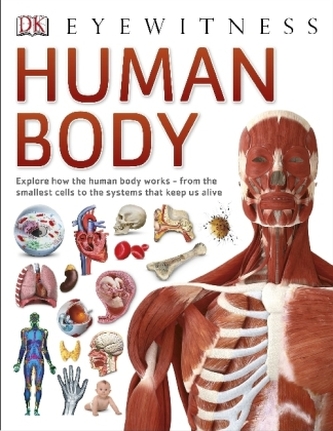 Human Body