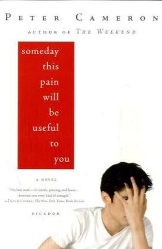 Someday this pain will be useful for you. Du wirst schon noch sehen wozu es gut ist, englische Ausgabe