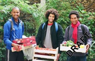 The Groundnut Cookbook