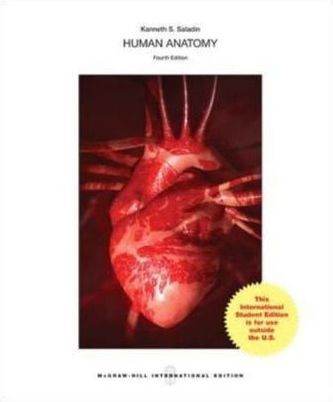 Human Anatomy