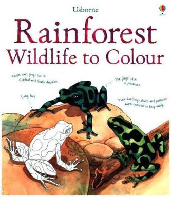 Rainforest Wildlife to Colour