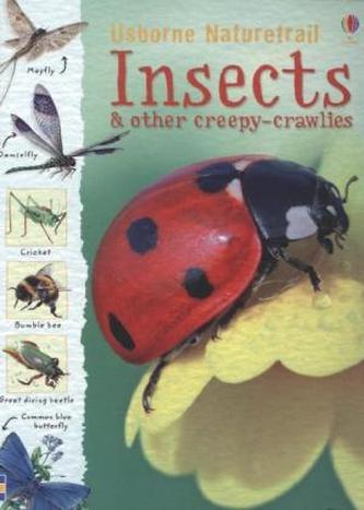 Insects