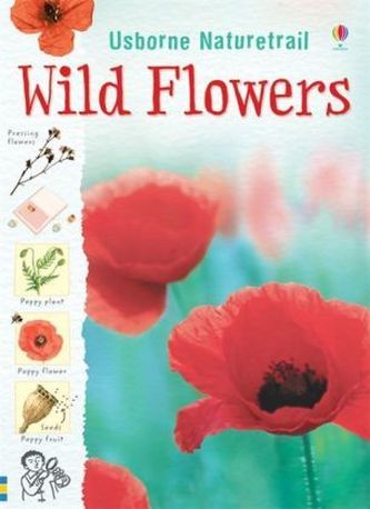 Wild Flowers