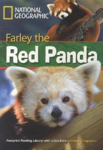 Farley the Red Panda Farley the Red Panda