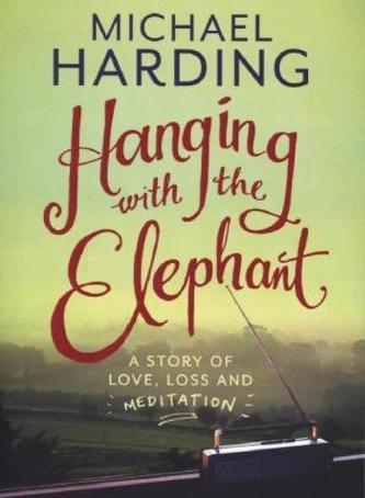 Hanging with the Elephant: A Story of How Not to Meditate