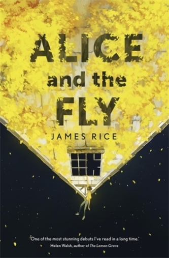 Alice and the Fly