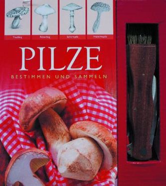 Pilze, m. Pilzmesser
