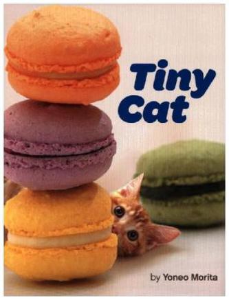 Tiny Cat Tiny Cat