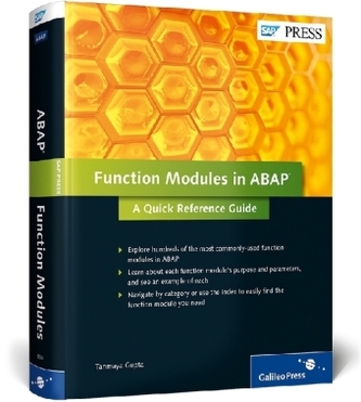 Function Modules in ABAP