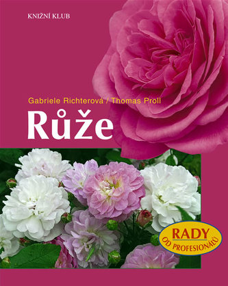 Růže