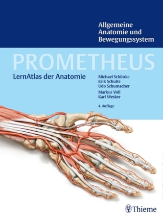 Allgemeine Anatomie und Bewegungssystem