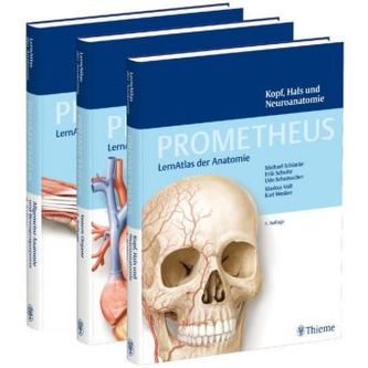 LernPaket Anatomie
