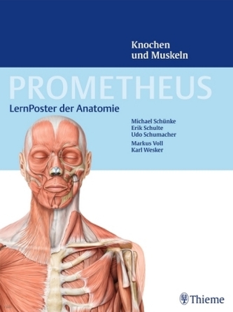 LernPoster der Anatomie, Knochen und Muskeln, 2 Poster