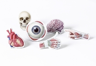 PROMETHEUS Magnet-Set