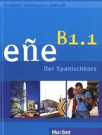 Niveau B1.1, Kursbuch + Arbeitsbuch, m. Audio-CD (Schulbuchausgabe)