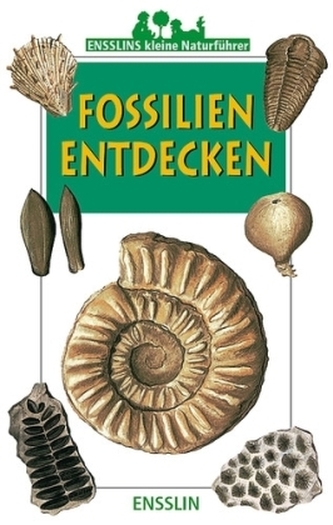 Fossilien entdecken