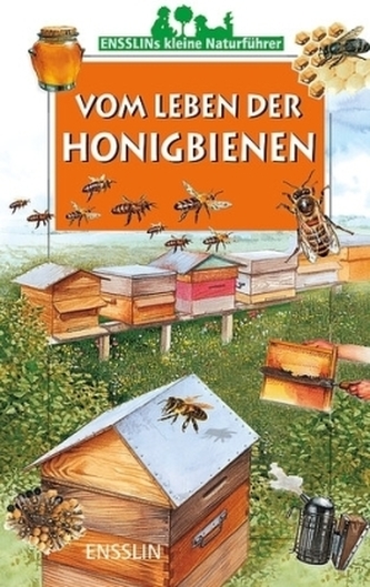 Vom Leben der Honigbienen