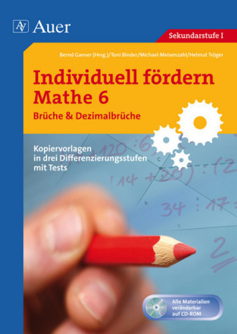 Mathe 6, Brüche & Dezimalbrüche, m. CD-ROM