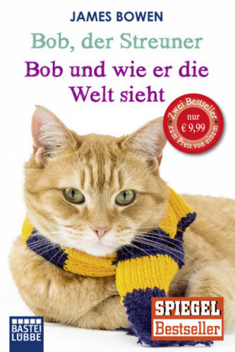 Bob, der Streuner - Bob und wie er die Welt sieht