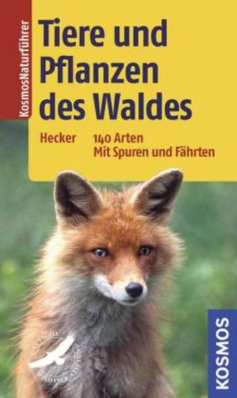 Tiere und Pflanzen des Waldes