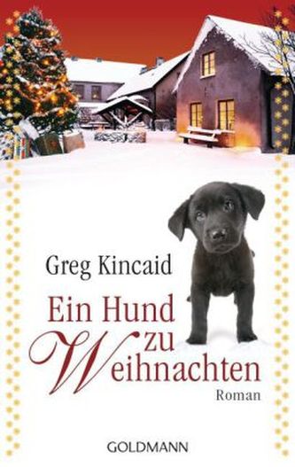 Ein Hund zu Weihnachten