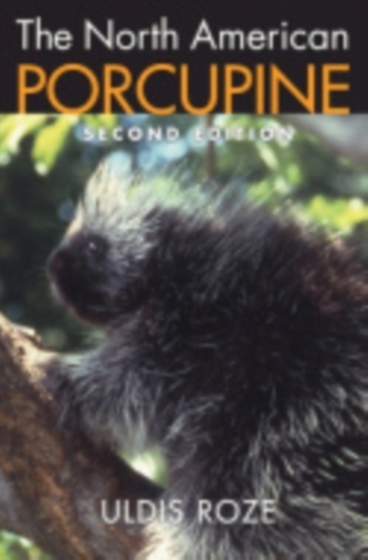 The North American Porcupine The North American Porcupine
